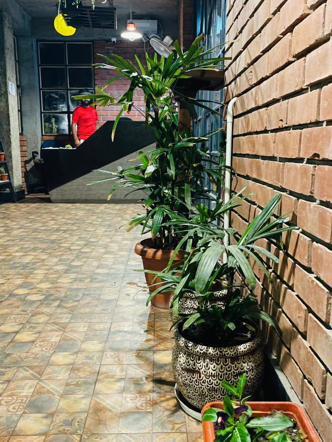 Hotel House Of Lights Solan Exterior foto